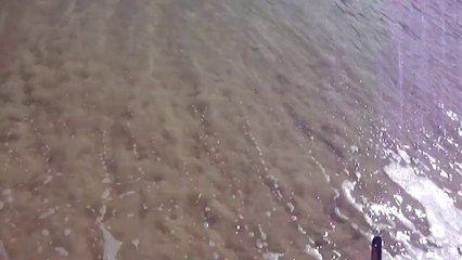 Expedição, Arquipélago do Prumirim, Natureza Marinha, Selvagem, Praias, Mares, Ubatuba, SP, Brasil, Marcelo Ambrogi, (55)