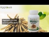 Avail Pure Ayurvedic Supplements from Aggripure.com