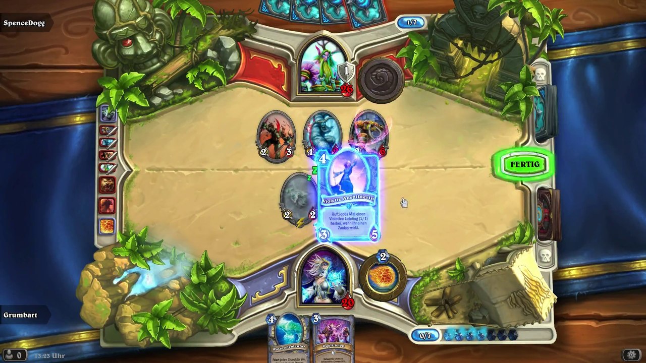 Magier vs. Druide (ARENA)