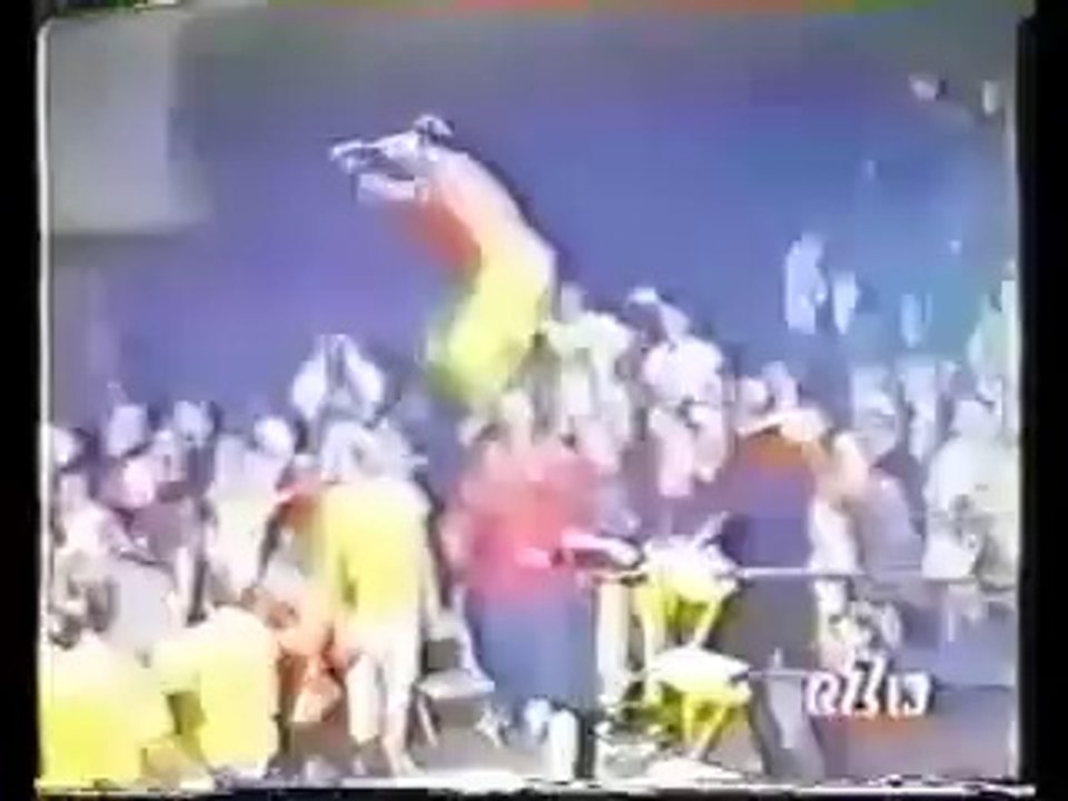 Botchamania 27