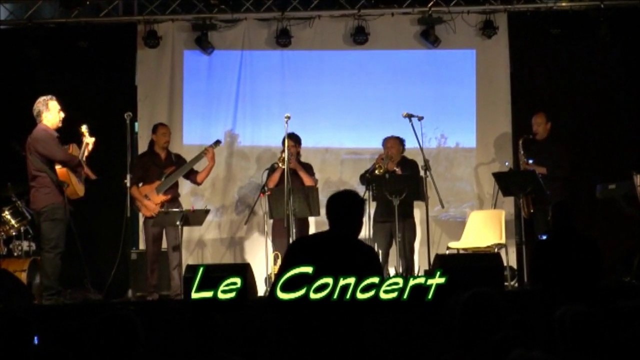 festival 100 guitar gipsy pipa dan