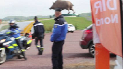 Rencontres de la sécurité routière