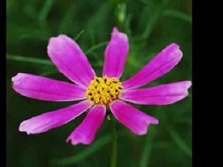 transitions남양주안마 유피디′yupd1컴