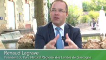 Le Parc Naturel des Landes de Gascogne en fête