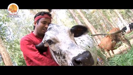 Gaay Maa Tujhe Bachaunga - Gaay Maa