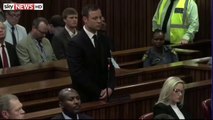 Oscar Pistorius Sentencing - Watch Live On Sky News.