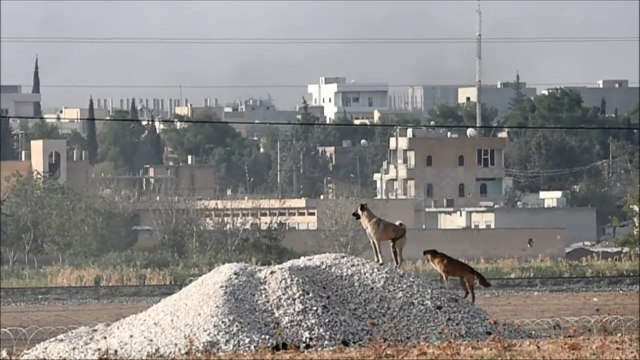 Syrie: les jihadistes ont pris le QG des forces kurdes à Kobané