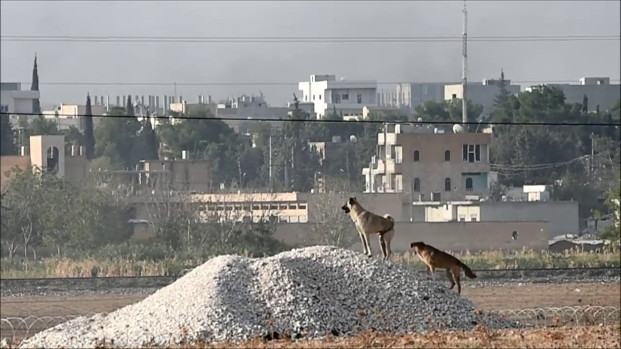 Syrie: les jihadistes ont pris le QG des forces kurdes à Kobané