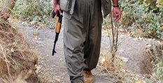 Polisleri Şehit Eden PKK'lılardan Biri Milli Eğitim Memuru Çıktı