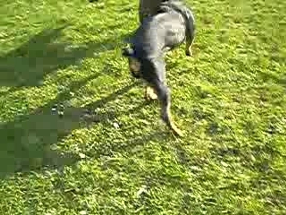 Sortie du 18 Février 07