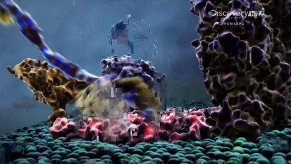 Сквозь пространство и время с Морганом Фрименом Возможен ли зомби-апокалипсис ?