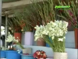 PAK ARMY Drama  Alpha Bravo Charlie - Part 14