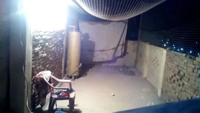 Copy of BOLA Cricket bowling machine (base ball, hocky, footbal, lon tenis, etc.) 2