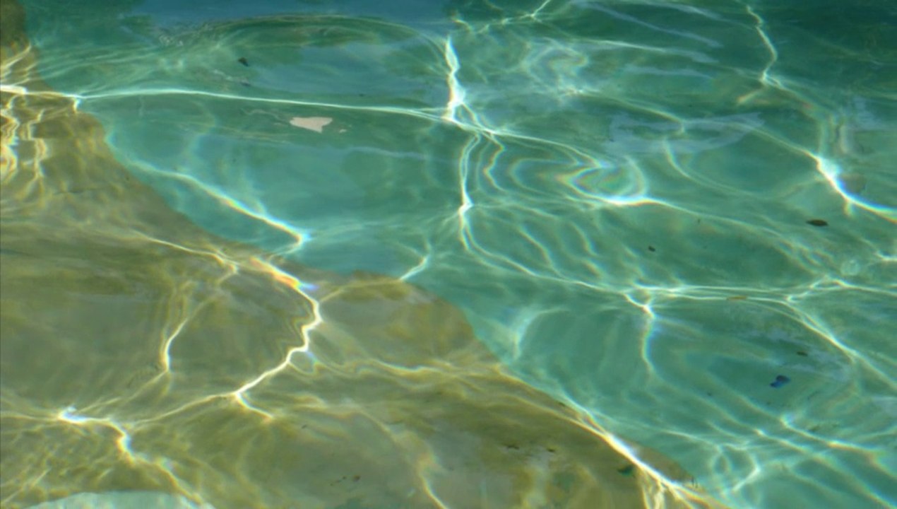 Avec Moustik à Iasi