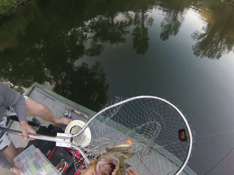 Brochet sur le Lot