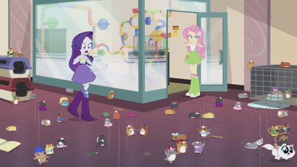 Equestria Girls  -Caos Roedor- ( Latino )