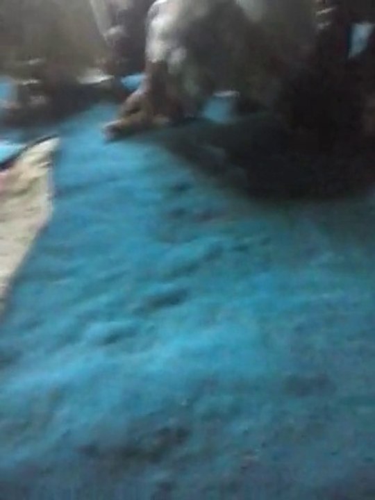 CAM01376