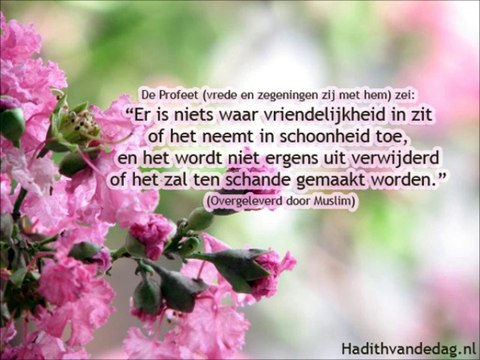 De trots van de moslima - Abou Ismail