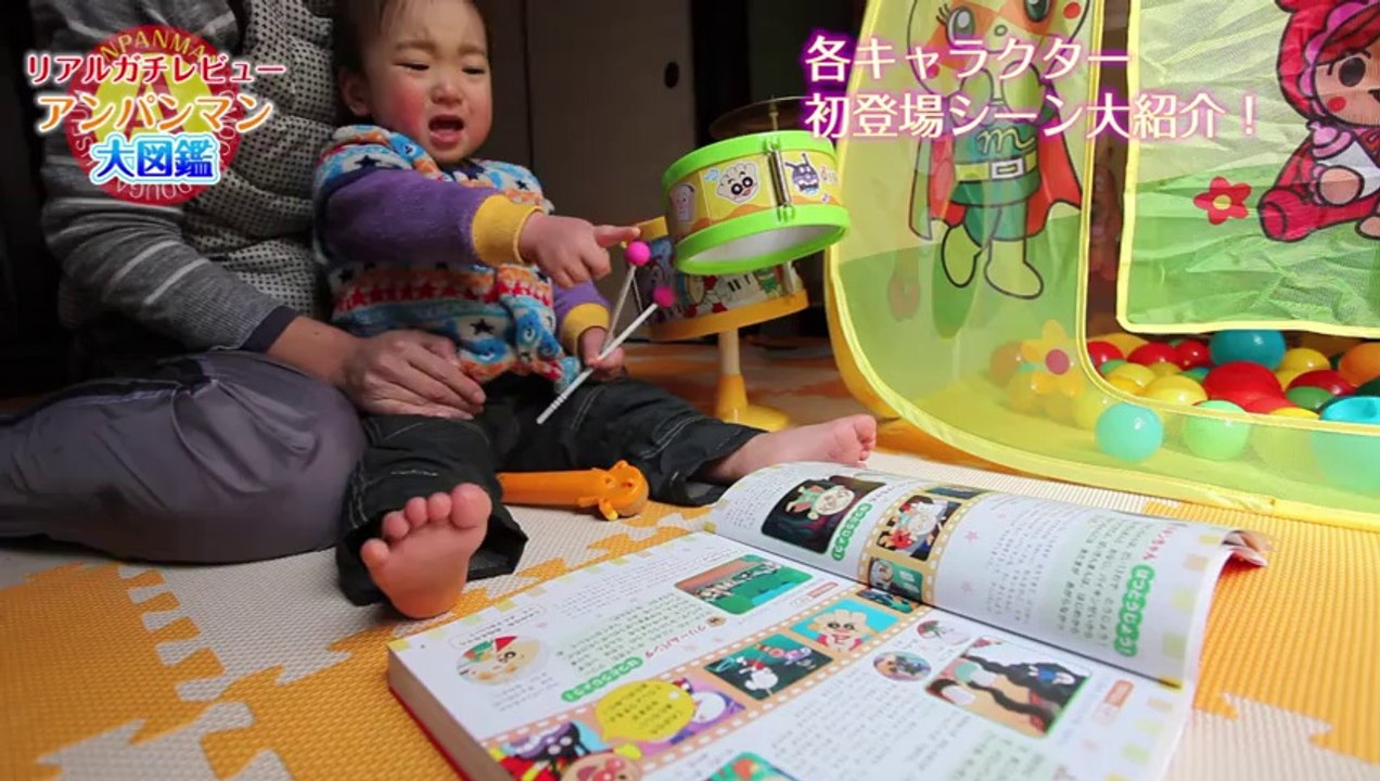 Anpanman Encyclopedia アンパンマン大図鑑！気持ち悪いアンパンマンもいるぞ～！　Anpanman toys！