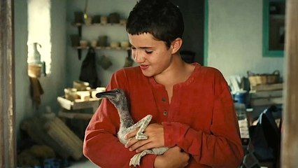 Bande-annonce : Nicostratos, le pélican VF