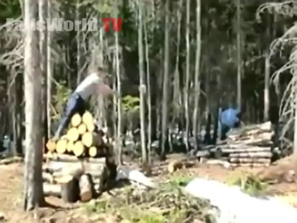 Log throwing fail - Fails World