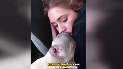 Uyuyan Kızı Öpmelere Doyamayan Köpek