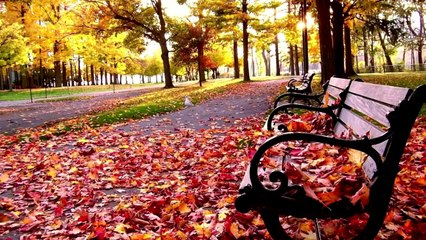 Anatoly Sem - "Love and autumn" (J.S.Bach - Chorale Prelude f-minor)