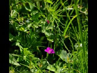 과천입싸방 야탑동입싸방 “유피디”