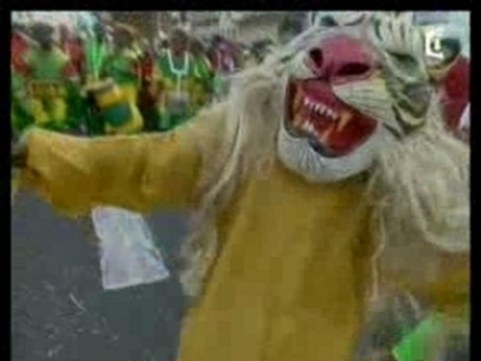Carnaval de martinique  2007 part3