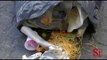 Napoli - Greenaccord contro gli sprechi di cibo (10.10.14)