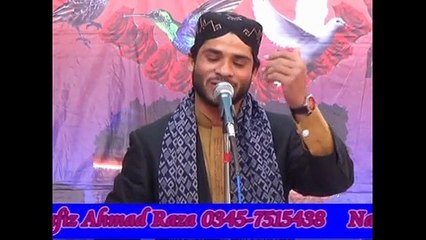 H M AHMAD RAZA IN RENALA KHURD 03457515438