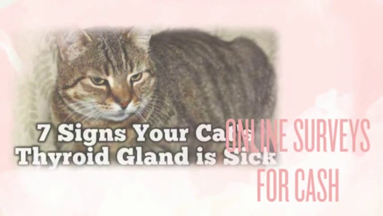 Remedy for Hyperthyroidism
