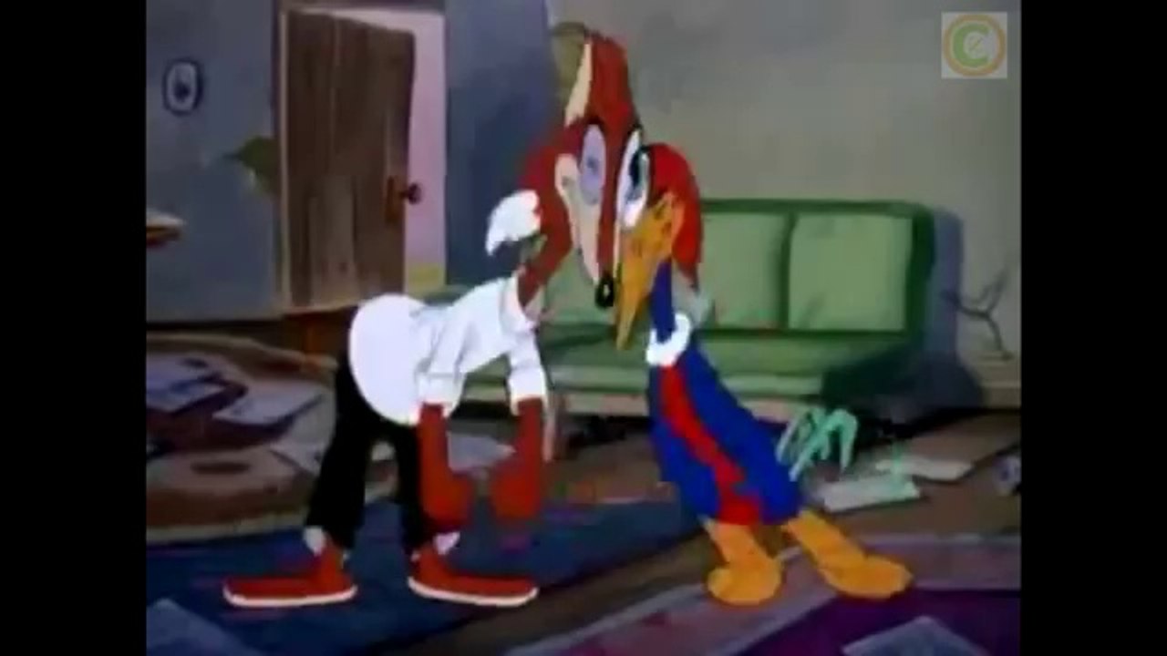 Woody Woodpecker in The Cracked Nut