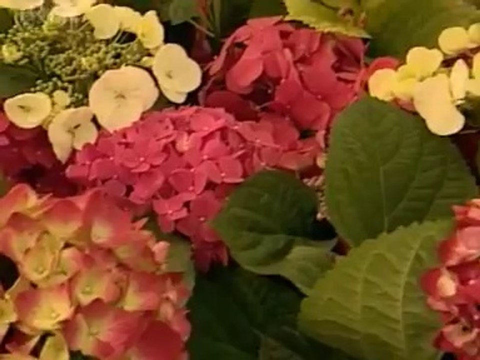 English 27 (Fast Track Business) Retail and Wholesale.de