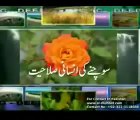 URDU ISLAM MIRACLES HARUN YAHYA 1_5