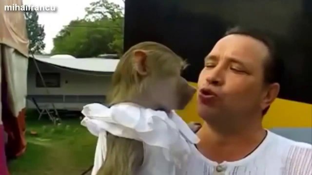 Funny Animals Making Funny Sounds And Noises Compilation 2014 [NEW].