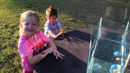 Poop Splash Elimination
