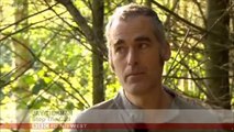 BBC1_Points West 10Oct14 on the badger cull in Somerset