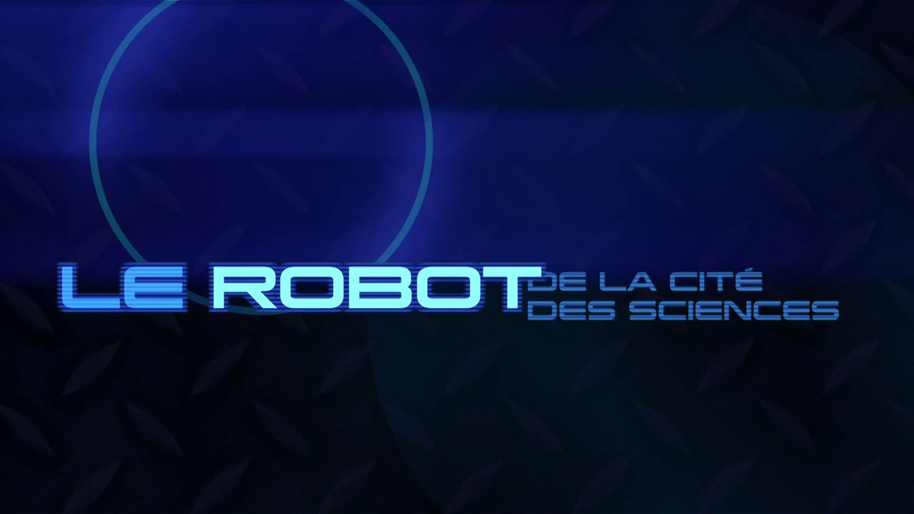 LE ROBOT DU CARREFOUR NUMÉRIQUE Sculpture Alexis Ferrier