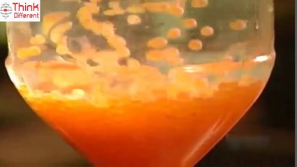 كيف يتم زراعة الأسماك - How Fish Farming are Made