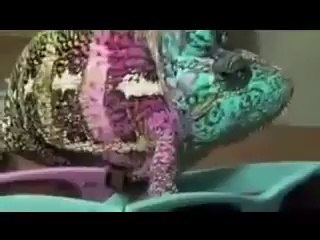 iss girghat ko dekhain kaisay rang badalta hai very nice video.