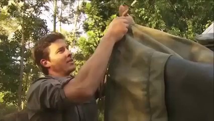 Awesome Transforming Camp Trailer