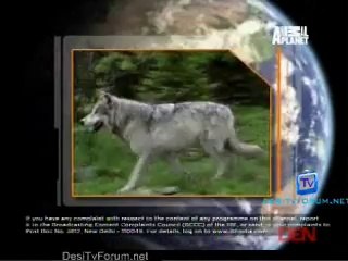 Be The Creature 11th October 2014 Video Watch Online pt1