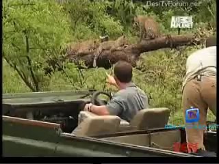 Be The Creature 11th October 2014 Video Watch Online pt2