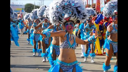 La Sonora Del Caribe: Noche De Estrellas