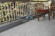 flat for rent in maadi degla 3 bedroom  Furnished  close cac
