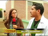 Bellas y peligrosas: conozca todo sobre las serpientes más venenosas del mundo