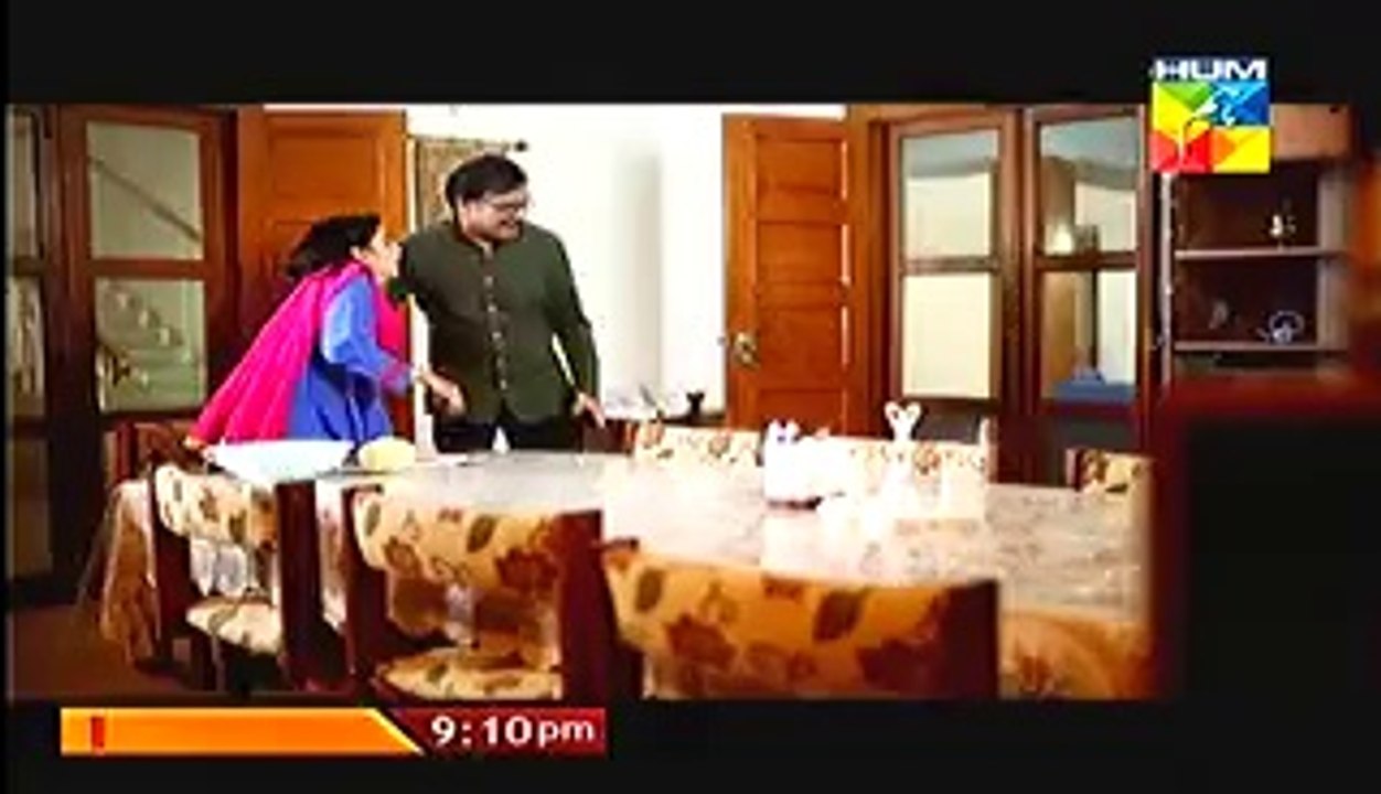 Shareek e Hayat (SHAK ) HUM TV