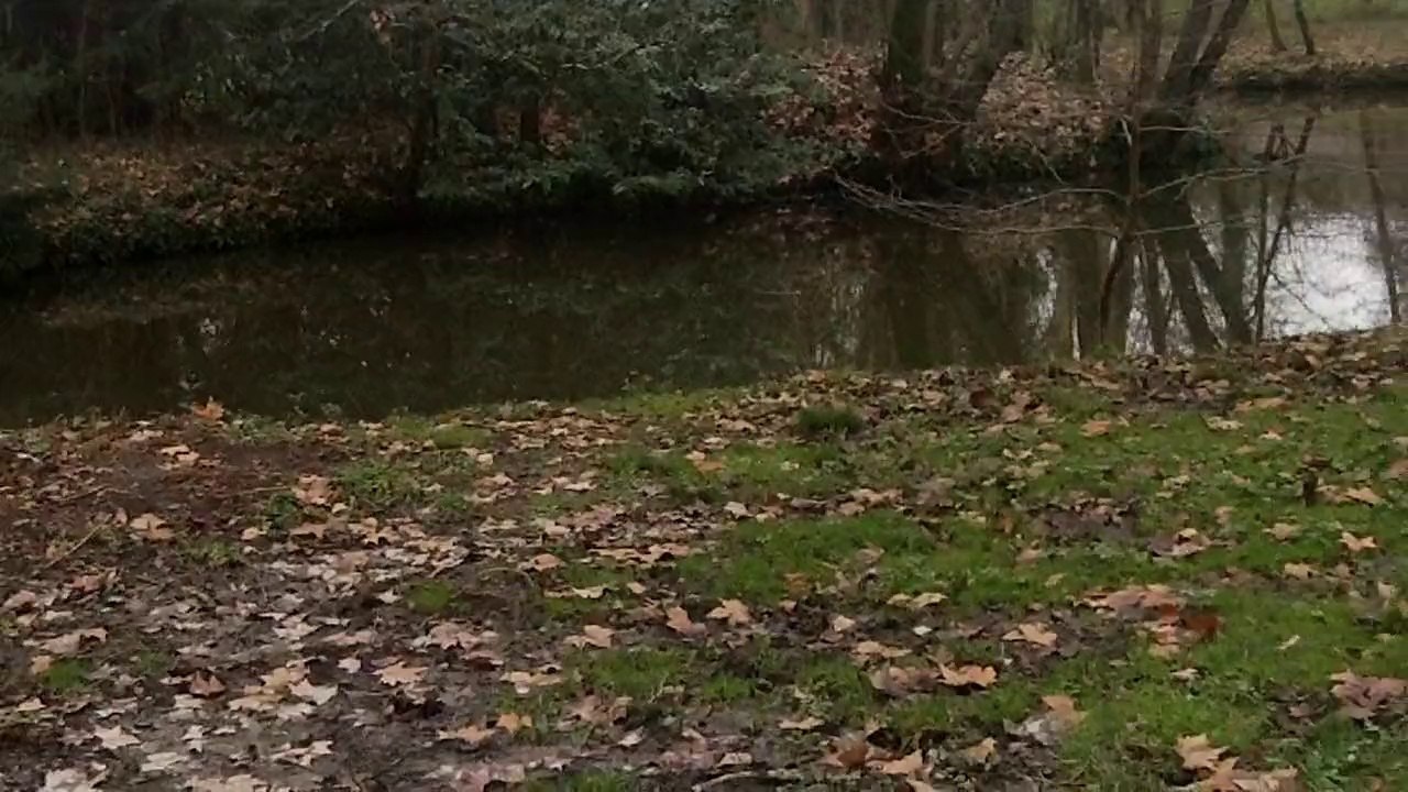 EVERGLADES PARK FLORIDA ARANJUEZ musica