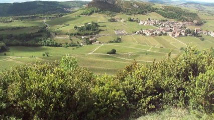 Fox du 21 concours Maquette